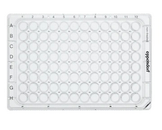 德國(guó)艾本德(Eppendorf)Cell Culture Plates,96-Well,無(wú)菌無(wú)熱原,無(wú)RNase和DNase,無(wú)人類(lèi)和細(xì)菌DNA,無(wú)細(xì)胞毒素,未處理,0.2mL,80塊,獨(dú)立包裝