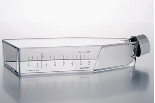 德國(guó)艾本德(Eppendorf)Cell Culture FlasksT-175,無菌無熱原,無RNase和DNase,無人類和細(xì)菌DNA,無細(xì)胞毒素,帶密封蓋,未處理,30.0mL